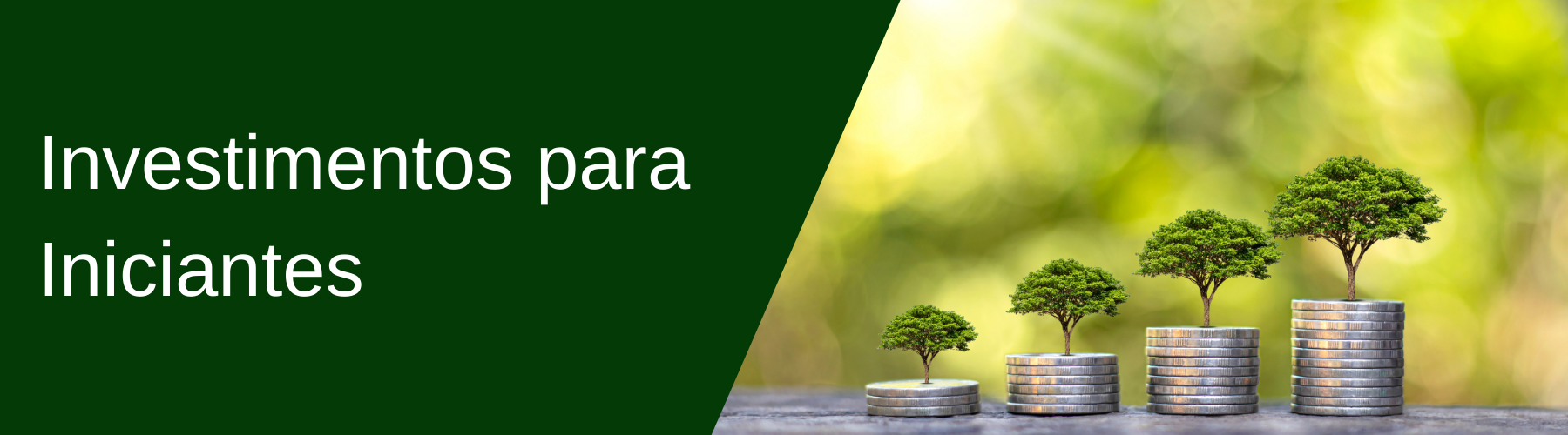INVESTIMENTOS PARA INICIANTES