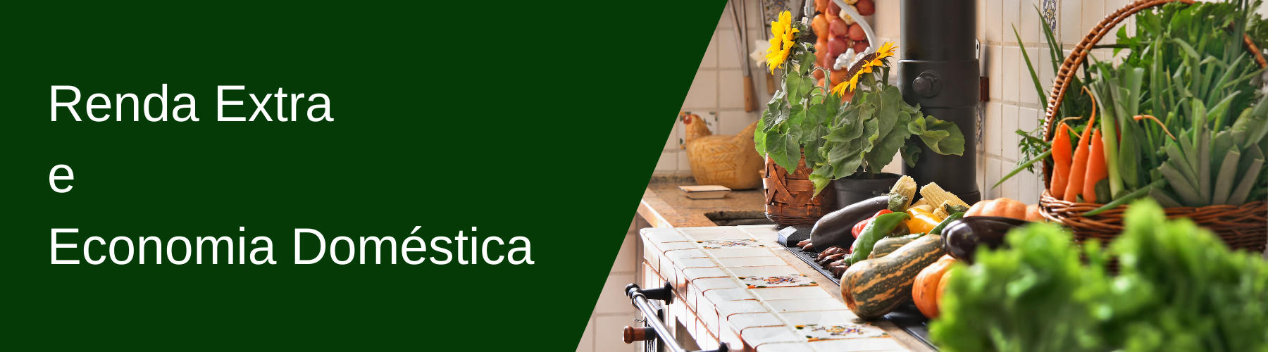 RENDA EXTRA E ECONOMIA DOMÉSTICA