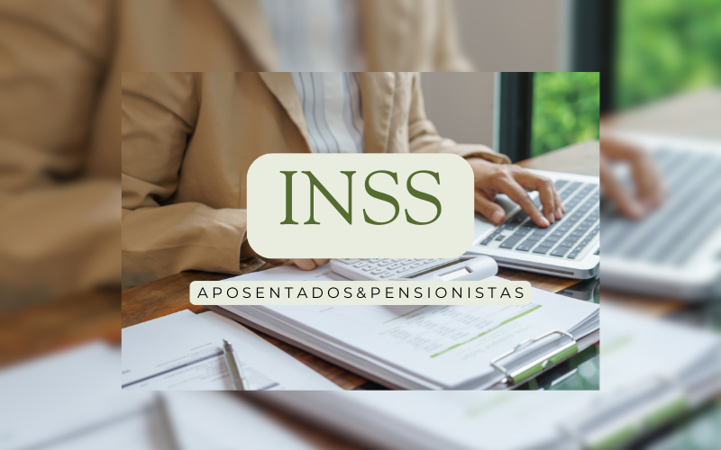 PAGINA INICIAL CALCULADORA INSS